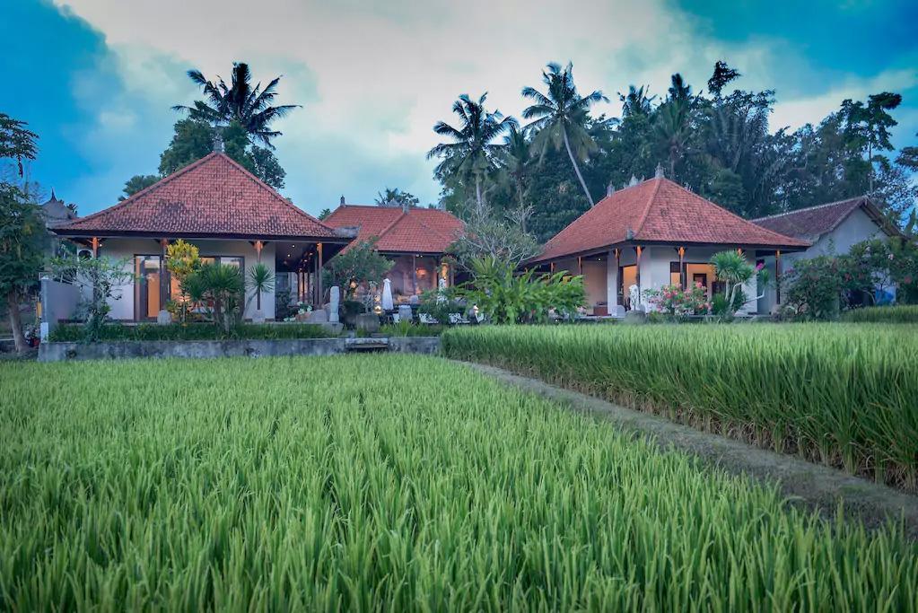 Villa Heron Ubud Екстер'єр фото